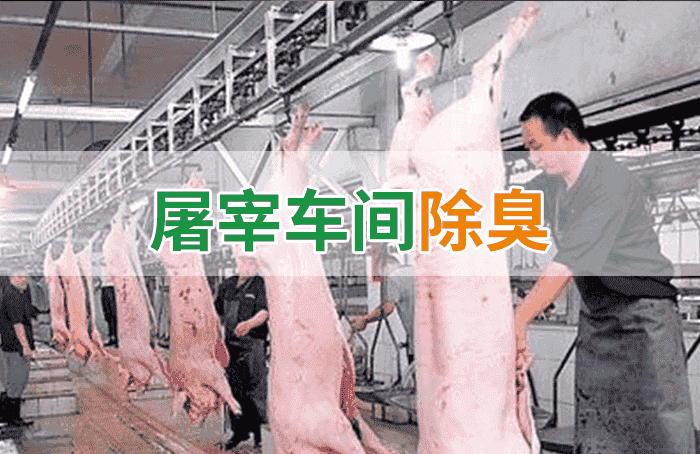 屠宰場臭氣影響周邊環(huán)境？解決辦法在這里-1