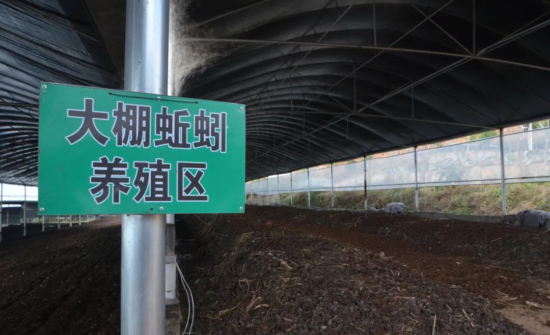 潔匠凈化·的凈工業(yè)除臭劑_的凈工業(yè)除臭劑高效治理蚯蚓養(yǎng)殖惡臭異味大、牛糞味濃