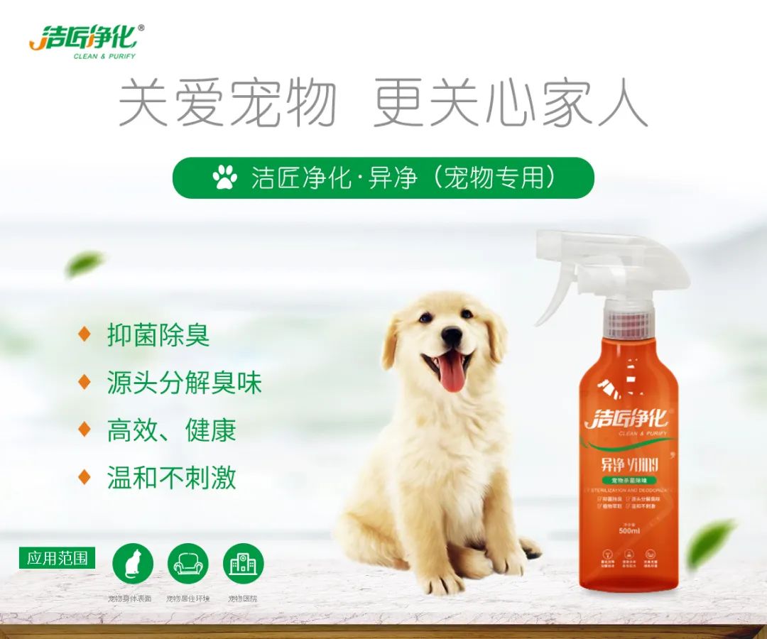 寵物氣味彌漫整個(gè)屋子，潔匠凈化教您如何除味